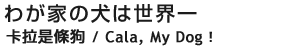 킪Ƃ̌͐E